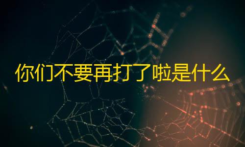 万能透视软件下载你们不要再打了啦是什么梗